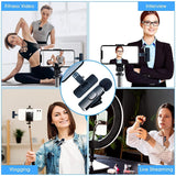 Wireless Microphone Electronics