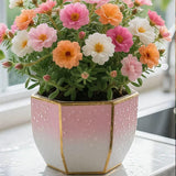 Double Moss Rose seeds + 100 grams Organic potmix Free Quirky Home Essentials